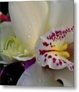 Fragrance Of White Orchid Metal Print