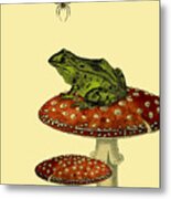 Frog And Spider Metal Print