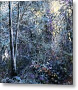 Frosted Blues Metal Print