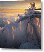 Frozen Metal Print