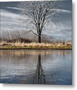 Frozen Pond And Frosted Tree With Reflection At Harveys Marsh In Wisconsin Metal Print