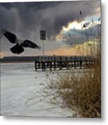 Frozen River And Flying Crow Jurmala Metal Print