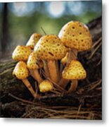 Fungi Family Metal Print