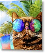Funny Cat On Beach 675 Metal Print