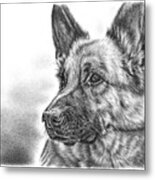 German Shepherd Metal Print