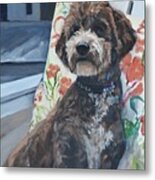 Gio The Cockapoo Pet Portrait Metal Print