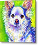 Colorful Cute Longhaired Chihuahua Dog Metal Print