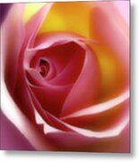 Glowing Rose Hdr Metal Print