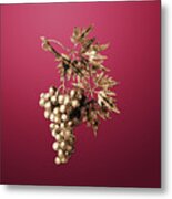 Gold Grape Vine On Viva Magenta N.03529 Metal Print