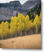 Gold Leaves In The Wasatch Mountains Of Utah Metal Print