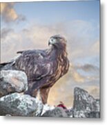 Golden Eagle With Prey At Sunrise Metal Print