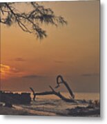 Golden Sandz Metal Print