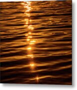 Golden Sunset Metal Print