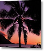 Goodnight Hanalei Metal Print