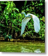 May You Find Peace Metal Print