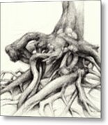 Graceful Root In The Forest Metal Print