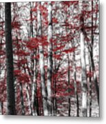 Graphic Nature Metal Print