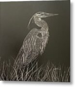 Great Blue Heron Metal Print