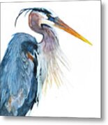 Great Blue Heron Metal Print