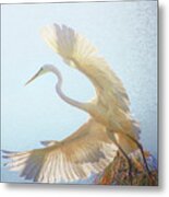 Great White Egret Takes To Flight Metal Print