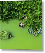 Green And Green Coconut Metal Print