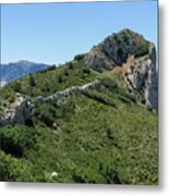 Green Expanse And Ascent To The Crest Metal Print