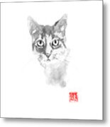 Grey Cat Metal Print