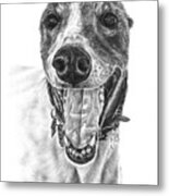 Greyhound Metal Print