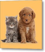 Grumpy Friends Metal Print