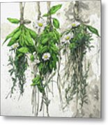 Hanging Herbs With Daisy Metal Print