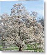 Happiness In Spring Metal Print