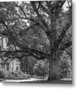 Haverford College Landscape Metal Print