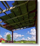 Headed To The Shed - Veum Tobacco Harvest Series 3 Of 4 Metal Print