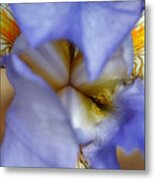 Heart Of The Iris Metal Print