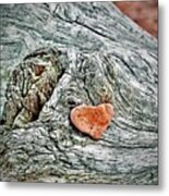 Heart Shaped Rock Metal Print