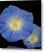 Heavenly Blues Metal Print