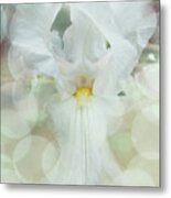 Heavenly Iris Metal Print