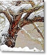 Heavy Weight Metal Print