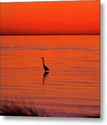 Heron At Sunset 05/01/2008 Metal Print