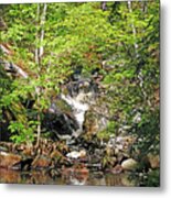 Hidden Falls In The Forest Metal Print