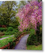 Highland Park Metal Print