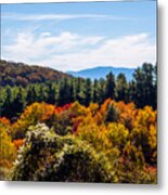 Hiking On The Max Patch Trail In North Carolina Metal Print