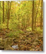 Hiking Through The Enchanted Forest Metal Print