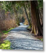 Hiking Trail Through The Spring Forest Metal Print