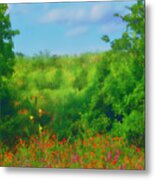 Hill Country Texas Wildflower Fields Metal Print