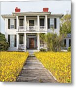 Historic Home With Yard Of Wildflowers - Beaufort North Carolina Metal Print