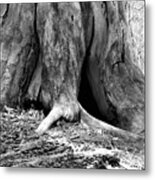 Hollow Tree Trunk In Black And White Metal Print