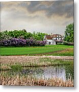 Home Is Where The Lilacs Bloom - 1 Of 2  - Abandoned Solberg Homestead In Rural Nd Metal Print