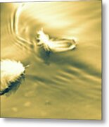 Hope Is The Thing With Feathers Metal Print