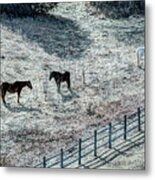 Horses Near Platte River State Park Metal Print